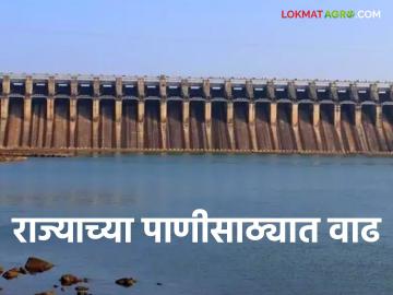 Maharashtra Dam Storage कोणत्या धरणाच्या पाणीसाठ्यात झाली वाढ; वाचा राज्याची अद्ययावत पाणीसाठा माहिती - Marathi News | Maharashtra Dam Storage Which dam's water storage increased; Read the updated water storage information of the state | Latest News at Lokmat.com Maharashtra Dam Storage कोणत्या धरणाच्या पाणीसाठ्यात झाली वाढ; वाचा राज्याची अद्ययावत पाणीसाठा माहिती - Marathi News | Maharashtra Dam Storage Which dam's water storage increased; Read the updated water storage information of the state | Latest News at Lokmat.com