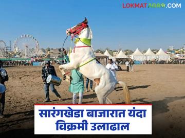 सारंगखेडा घोडे बाजारात यंदा सर्व रेकॉर्ड मोडत विक्रमी ३.८६ कोटींची उलाढाल - Marathi News | Sarangkheda horse market breaks all records this year with a turnover of Rs 3.86 crores | Latest News at Lokmat.com