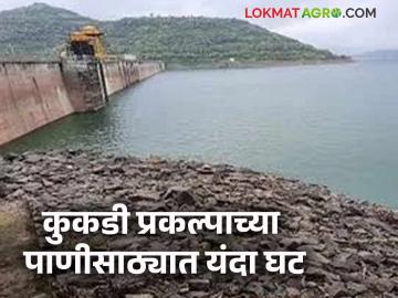 कुकडी प्रकल्पात १९.०८ टक्के पाणीसाठा शिल्लक; गतवर्षीच्या तुलनेत यंदा ३ टक्क्यांनी पाणीसाठ्यात घट - Marathi News | 19.08 percent water storage remaining in Kukdi project; 3 percent decrease in water storage this year compared to last year | Latest News at Lokmat.com