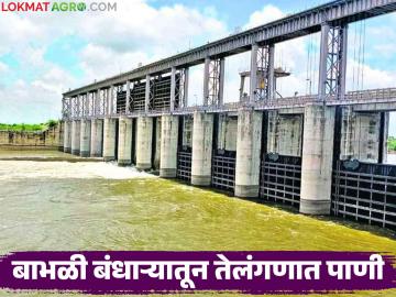 बाभळी बंधाऱ्यातून तेलंगणात सोडले ०.६ टीएमसी पाणी; सर्वोच्च न्यायालयाच्या निकालानुसार पाणी सोडण्याचा निर्णय - Marathi News | 0.6 TMC water released from Babhali dam in Telangana; Decision to release water as per Supreme Court verdict | Latest News at Lokmat.com
