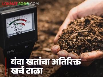 खरीप हंगामापूर्वी 'हे' एक काम करा अन् यंदा खतांचा अतिरिक्त खर्च टाळा - Marathi News | Do 'this' one thing before the Kharif season and avoid extra expenditure on fertilizers this year | Latest News at Lokmat.com