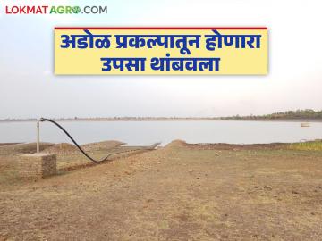 अडोळ प्रकल्पातील साठा राखीव, सिंचन ठप्प; रब्बी हंगामातील पिकांचे नुकसान होण्याची शक्यता - Marathi News | Stocks in Adol project reserved, irrigation stopped; Rabi season crops likely to be damaged | Latest News at Lokmat.com