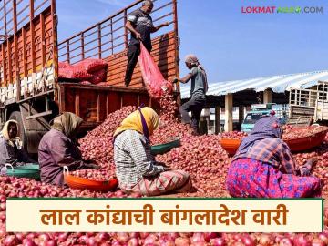 राज्याच्या 'या' बाजारातून गत १२ दिवसांत २२ हजार क्विंटल लाल कांद्याची बांगलादेशला निर्यात - Marathi News | 22 thousand quintals of red onion exported to Bangladesh from 'Ya' market of the state in the last 12 days | Latest News at Lokmat.com