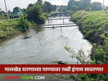 'टेल टू हेड' पद्धतीने यंदा रब्बी पिकांना तारणार पालखेड धरण समूहातील कालव्यांचे आवर्तन - Marathi News | Reversal of canals in Palkhed Dam Group will save Rabi crops this year through 'tail to head' method | Latest weather News at Lokmat.com