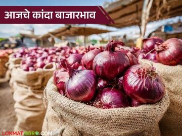 Kanda Bajar Bhav : राज्यात आज अडीच लाख क्विंटल कांदा आवक; वाचा आजचे बाजारभाव - Marathi News | Kanda Bazaar Bhav: 2.5 lakh quintals of onion arrived in the state today; Read today's market prices | Latest News at Lokmat.com
