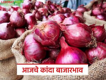 राज्यात उन्हाळ कांद्याला कुठे आणि किती दर? वाचा आजचे कांदा बाजारभाव - Marathi News | Where and how much is the price of summer onion in the state? Read today's onion market price | Latest market-yard News at Lokmat.com