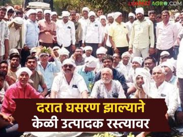 केळीचे दर घसरल्याने शेतकऱ्यांचा रास्ता रोको; रस्त्यावर केळी फेकत आंदोलनकर्ते झाले आक्रमक - Marathi News | Farmers blocked roads due to falling banana prices; Protesters became aggressive by throwing bananas on the road | Latest News at Lokmat.com
