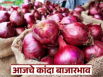 पिंपळगाव बसवंत बाजारात पोळ तर नागपूरला पांढरा कांदा खातोय भाव; वाचा आजचे कांदा बाजारभाव - Marathi News | The price of onion is going up in Pimpalgaon Baswant market, while white onion is going down in Nagpur; Read today's onion market price | Latest News at Lokmat.com
