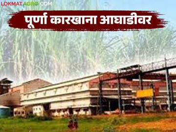 वसमत विभागात ३ महिन्यांत ७.८६ लाख मेट्रिक टन उसाचे गाळप; पूर्णा कारखाना आघाडीवर - Marathi News | 7.86 lakh metric tons of sugarcane crushed in 3 months in Vasmat division; Purna factory in the lead | Latest News at Lokmat.com