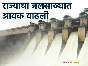 Maharashtra Dam Storage राज्याचा जलसाठ्यात आवक वाढली; जाणून घ्या राज्याच्या जलसाठ्याची अद्यावत माहिती - Marathi News | Maharashtra Dam Storage increased inflow into the state's water storage; Know the updated information about the water resources of the state | Latest News at Lokmat.com Maharashtra Dam Storage राज्याचा जलसाठ्यात आवक वाढली; जाणून घ्या राज्याच्या जलसाठ्याची अद्यावत माहिती - Marathi News | Maharashtra Dam Storage increased inflow into the state's water storage; Know the updated information about the water resources of the state | Latest News at Lokmat.com