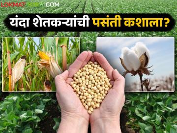 यंदा शेतकऱ्यांच्या पसंतीत कपाशी, सोयाबीन, मका पिकांत कोण राहणार अव्वल कोण दुय्यम वाचा सविस्तर - Marathi News | This year, who will be the top and who will be the second favorite among farmers among cotton, soybean, and maize crops? Read in detail | Latest News at Lokmat.com