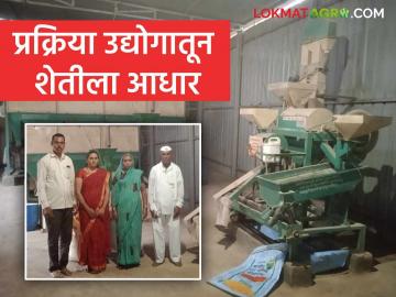 Farmer Success Story : सरकारी योजनेचा मिळाला आधार; गणेशरावांनी केली आर्थिक विषमतेवर मात - Marathi News | Farmer Success Story : Government scheme got support; Ganesh Rao overcame economic inequality | Latest News at Lokmat.com Farmer Success Story : सरकारी योजनेचा मिळाला आधार; गणेशरावांनी केली आर्थिक विषमतेवर मात - Marathi News | Farmer Success Story : Government scheme got support; Ganesh Rao overcame economic inequality | Latest News at Lokmat.com