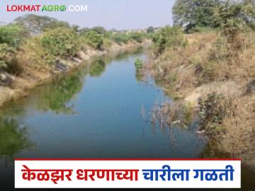 केळझर धरणाच्या चारीला डांगसौदाणे परिसरात गळती; भगदाड दुरुस्त करावे नागरिकांनी मागणी - Marathi News | Leakage in Dangsaudane area of Keljar Dam; Citizens demand repair of the breach | Latest News at Lokmat.com केळझर धरणाच्या चारीला डांगसौदाणे परिसरात गळती; भगदाड दुरुस्त करावे नागरिकांनी मागणी - Marathi News | Leakage in Dangsaudane area of Keljar Dam; Citizens demand repair of the breach | Latest News at Lokmat.com