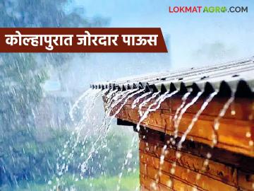 करवीर, राधानगरी तालुक्यात वादळी वाऱ्यासह मुसळधार पाऊस; कोल्हापूरात अवकाळी बरसला - Marathi News | Heavy rain with gusty winds in Karveer, Radhanagari talukas; Unseasonal rain in Kolhapur | Latest News at Lokmat.com