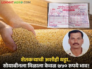 ११ क्विंटल सोयाबीनचा चुकारा मिळाला केवळ ७ हजार २४८ रुपये; सांगा कसं करायचं शेतकऱ्यानं! - Marathi News | latest news Wardha Farmers get Rs 7 thousand 248 rupees for 11 quintals of soybeans in market | Latest News at Lokmat.com ११ क्विंटल सोयाबीनचा चुकारा मिळाला केवळ ७ हजार २४८ रुपये; सांगा कसं करायचं शेतकऱ्यानं! - Marathi News | latest news Wardha Farmers get Rs 7 thousand 248 rupees for 11 quintals of soybeans in market | Latest News at Lokmat.com