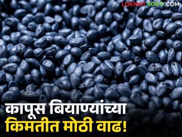 शेतमालाच्या दरकोंडी पुढे शेतकऱ्यांचा जातोय तोल; बियाणांच्या किंमतीला मात्र न चुकता मिळतो वाढीव मोल - Marathi News | Farmers are losing their balance due to the price crisis of agricultural products; However, the price of seeds is getting increased value without fail. | Latest News at Lokmat.com शेतमालाच्या दरकोंडी पुढे शेतकऱ्यांचा जातोय तोल; बियाणांच्या किंमतीला मात्र न चुकता मिळतो वाढीव मोल - Marathi News | Farmers are losing their balance due to the price crisis of agricultural products; However, the price of seeds is getting increased value without fail. | Latest News at Lokmat.com