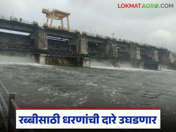 आठ मध्यम, ९८ लघु प्रकल्पांतून मराठवड्याच्या 'या' जिल्ह्यात शेतकऱ्यांना रब्बी पिकांसाठी पाणी मिळणार - Marathi News | Farmers in 'Ya' district of Marathwada will get water for Rabi crops through eight medium and 98 small projects | Latest News at Lokmat.com