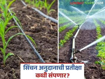 पंतप्रधान कृषी सिंचन योजनचे पावणेपाच कोटी अनुदान थकले; कोण जबाबदार? शेतकऱ्यांचा सवाल - Marathi News | Rs 5.5 crore subsidy of Pradhan Mantri Krishi Srichan Yojana is overdue; Who is responsible? Farmers question | Latest News at Lokmat.com