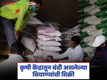 कृषी केंद्रातून बंदी असलेल्या बियाण्यांची विक्री; कृषी विभागाचे दुर्लक्ष, शेतकऱ्यांची कारवाईची मागणी - Marathi News | Sale of banned seeds from agricultural centers; Agriculture Department's negligence, farmers demand action | Latest News at Lokmat.com