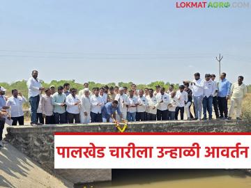 पालखेड चारीला उन्हाळी आवर्तन सोडल्याने पेयजल समस्या मिटणार; पूर्व भागातील शेतकऱ्यांना मोठा दिलासा - Marathi News | Drinking water problem will be solved by abandoning summer rotation in Palkhed Chari; Big relief for farmers in eastern region | Latest News at Lokmat.com