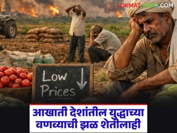 नापिकी, कर्जबाजारीपणामुळे मेटाकुटीला आलेला शेतकरी युद्धामुळे पुन्हा संकटाच्या गर्तेत - Marathi News | Farmers, exhausted by crop failure and debt, are again in trouble due to war. | Latest News at Lokmat.com