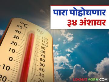 यंदा फेब्रुवारीत महिन्यातच उन्हाच्या झळा; निसर्गाचा लहरीपणा बसतोय फटका, रात्रीच्या तापमानातही वाढ - Marathi News | This year, the sun is shining in February itself; Nature's whims are taking their toll, night temperatures are also increasing | Latest News at Lokmat.com