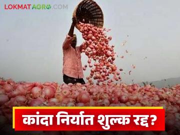Kanda Niryat Shulk : कांदा निर्यात शुल्क रद्द करण्यासाठी सरकारने उचलले मोठे पाऊल - Marathi News | Kanda Niryat Shulk: Government takes big step to abolish onion export duty | Latest News at Lokmat.com