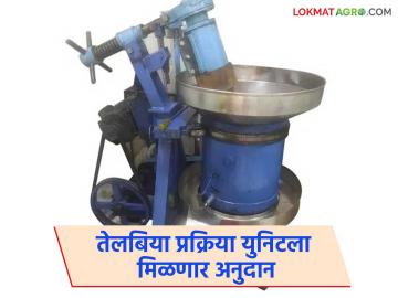 राष्ट्रीय खाद्यतेल अभियानांतर्गत तेल घाणा टाका आणि ९.९० लाख रुपयांचे अनुदान मिळवा - Marathi News | Under the National Edible Oil Mission, throw away oil and get a subsidy of Rs. 9.90 lakh | Latest News at Lokmat.com