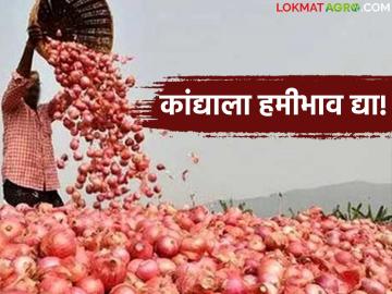 कांदा उत्पादक शेतकऱ्यांचा २३ पासून उपोषणाचा इशारा; हमीभावाची होतेय मागणी - Marathi News | Onion farmers warn of hunger strike from 23rd; Demand for guaranteed price | Latest News at Lokmat.com