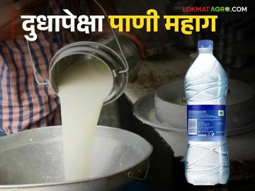 Milk Rate Of Maharashtra शेतकऱ्यांच्या दुधापेक्षा पाण्याच्या बाटलीला अधिक भाव का? - Marathi News | Milk Rate Of Maharashtra Why is the water bottle more expensive than farmers' milk? | Latest News at Lokmat.com
