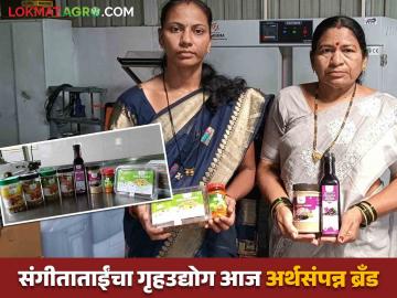 Women Farmer Success Story : कुटुंबाच्या मदतीने संगीताताईंची फळ प्रक्रिया उद्योगात भरारी - Marathi News | Women Farmer Success Story : With the help of her family, Sangeitatai entered the fruit processing industry | Latest News at Lokmat.com