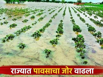 राज्यात पावसाचा पुन्हा जोर वाढला; पश्चिम महाराष्ट्रासह नाशिक, विदर्भ अन् मराठवाड्यात आगमन - Marathi News | Rains increase again in the state; Arrive in Nashik, Vidarbha and Marathwada along with western Maharashtra | Latest News at Lokmat.com राज्यात पावसाचा पुन्हा जोर वाढला; पश्चिम महाराष्ट्रासह नाशिक, विदर्भ अन् मराठवाड्यात आगमन - Marathi News | Rains increase again in the state; Arrive in Nashik, Vidarbha and Marathwada along with western Maharashtra | Latest News at Lokmat.com