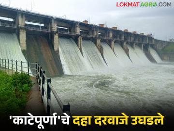 'काटेपूर्णा' धरणातून ४९४.८२ घनमीटर प्रति सेकंदाने विसर्ग सुरू; काटेपूर्णा नदी काठावरील गावांना सतर्कतेचा इशारा - Marathi News | Discharge from 'Katepurna' dam starts at 494.82 cubic meters per second; Alert issued to villages on the banks of Katepurna river | Latest News at Lokmat.com