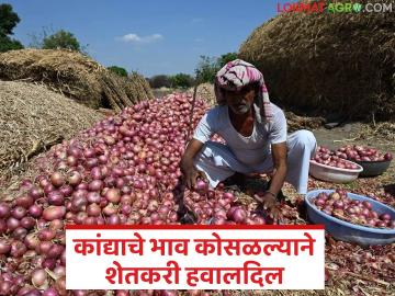 कांद्याचे भाव कोसळल्याने उत्पादक झाले हवालदिल; अनुदान जाहीर करण्याची शेतकऱ्यांची मागणी - Marathi News | Producers are worried as onion prices fall; Farmers demand subsidy | Latest News at Lokmat.com कांद्याचे भाव कोसळल्याने उत्पादक झाले हवालदिल; अनुदान जाहीर करण्याची शेतकऱ्यांची मागणी - Marathi News | Producers are worried as onion prices fall; Farmers demand subsidy | Latest News at Lokmat.com