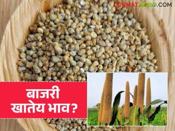 राज्याच्या 'या' दोन बाजारात बाजरी खातेय सर्वाधिक भाव; वाचा सविस्तर - Marathi News | Millet prices are highest in these two markets of the state; Read in detail | Latest News at Lokmat.com