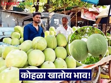 रूढी परंपरेच्या फेऱ्यात कोहळाची चलती; राज्याच्या विविध बाजारात कोहळा खातो भाव - Marathi News | Kohla's movement in the round of tradition; Kohla eats up prices in various markets of the state | Latest News at Lokmat.com रूढी परंपरेच्या फेऱ्यात कोहळाची चलती; राज्याच्या विविध बाजारात कोहळा खातो भाव - Marathi News | Kohla's movement in the round of tradition; Kohla eats up prices in various markets of the state | Latest News at Lokmat.com