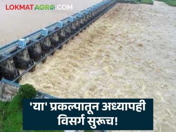 विदर्भाच्या विविध १८ प्रकल्पांतून पाण्याचा विसर्ग सुरूच! २८९ सिंचन प्रकल्प अध्यापही तुडुंब - Marathi News | Water discharge continues from 18 different projects in Vidarbha! 289 irrigation projects are also in disrepair | Latest News at Lokmat.com