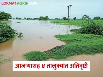 कोल्हापूर जिल्ह्यात धुवांधार पाऊस; आजऱ्यासह 'या' ४ तालुक्यांत अतिवृष्टी - Marathi News | Heavy rain in Kolhapur district; Heavy rainfall in these 4 talukas including Ajar | Latest News at Lokmat.com