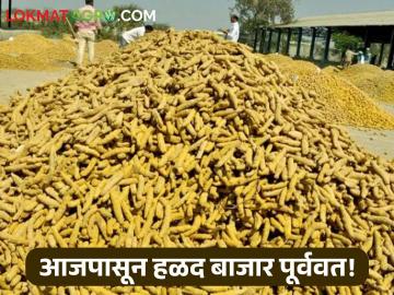 आजपासून हिंगोलीचे हळद मार्केटयार्डे गजबजणार; लिलाव पूर्ववत होत असल्याने शेतकऱ्यांना दिलासा - Marathi News | Turmeric market yards in Hingoli will be bustling from today; Farmers are relieved as auction is being rescheduled | Latest News at Lokmat.com आजपासून हिंगोलीचे हळद मार्केटयार्डे गजबजणार; लिलाव पूर्ववत होत असल्याने शेतकऱ्यांना दिलासा - Marathi News | Turmeric market yards in Hingoli will be bustling from today; Farmers are relieved as auction is being rescheduled | Latest News at Lokmat.com