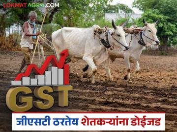 लहरी निसर्ग, हवामान, महागाई अन् आता जीएसटी; शेतकऱ्यांनी तग धरायचा तरी कसा? - Marathi News | Unpredictable nature, weather, inflation and now GST; How can farmers survive? | Latest News at Lokmat.com