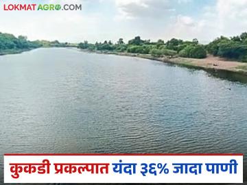 कुकडी प्रकल्पात गेल्यावर्षीच्या तुलनेत ३६ टक्के जादा पाणी; येडगाव, घोड, विसापूर, वडज ओव्हरफ्लो - Marathi News | 36 percent more water in Kukdi project compared to last year; Yedgaon, Ghod, Visapur, Vadaj overflow | Latest News at Lokmat.com कुकडी प्रकल्पात गेल्यावर्षीच्या तुलनेत ३६ टक्के जादा पाणी; येडगाव, घोड, विसापूर, वडज ओव्हरफ्लो - Marathi News | 36 percent more water in Kukdi project compared to last year; Yedgaon, Ghod, Visapur, Vadaj overflow | Latest News at Lokmat.com