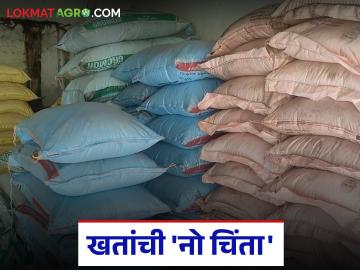 यंदा रब्बी हंगामासाठी खतांची 'नो चिंता'; २.१७ लाख मेट्रिक टन खतांचे नियोजन, कृषी विभागाचा दावा - Marathi News | 'No worries' about fertilizers for Rabi season this year; 2.17 lakh metric tons of fertilizers planned, claims Agriculture Department | Latest News at Lokmat.com