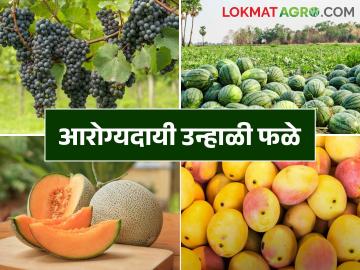 आला उन्हाळा शेतकरी ताई अन् दादांनो आपआपले आरोग्य सांभाळा - Marathi News | Summer is here farmers sister and brother take care of your health | Latest News at Lokmat.com