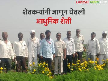 भाजीपाला पिके, शेतीपूरक व्यवसायाच्या तंत्रज्ञानाबद्दल शेतकऱ्यांनी जाणून घेतली माहिती; नांदगाव कृषी विभागाचा उपक्रम - Marathi News | Farmers learned modern information about vegetable crops and complementary business technologies; initiative of Nandgaon Agriculture Department | Latest News at Lokmat.com