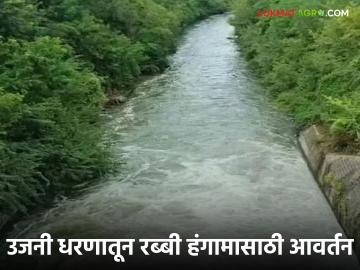 रब्बीसाठी उजनी धरणातून ५०० क्युसेक सोडण्यात आला विसर्ग; टप्प्याटप्प्याने होणार तीन हजार क्युसेकची वाढ - Marathi News | 500 cusecs released from Ujani dam for Rabi season; 3,000 cusecs to be increased in phases | Latest News at Lokmat.com रब्बीसाठी उजनी धरणातून ५०० क्युसेक सोडण्यात आला विसर्ग; टप्प्याटप्प्याने होणार तीन हजार क्युसेकची वाढ - Marathi News | 500 cusecs released from Ujani dam for Rabi season; 3,000 cusecs to be increased in phases | Latest News at Lokmat.com