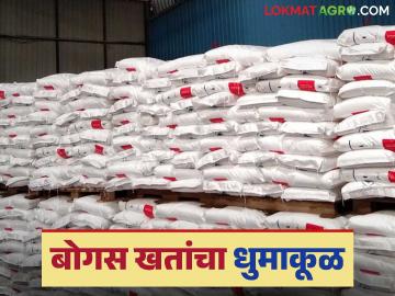 Fertilizer Scam : बोगस खते येतात कुठून कृषी विभागाला कळेना; बाजारात मात्र बोगस खतांचा धुमाकूळ - Marathi News | Fertilizer Scam: The Agriculture Department does not know where the bogus fertilizers come from; however, there is a lot of bogus fertilizers in the market | Latest News at Lokmat.com Fertilizer Scam : बोगस खते येतात कुठून कृषी विभागाला कळेना; बाजारात मात्र बोगस खतांचा धुमाकूळ - Marathi News | Fertilizer Scam: The Agriculture Department does not know where the bogus fertilizers come from; however, there is a lot of bogus fertilizers in the market | Latest News at Lokmat.com