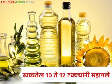 आखातातील युद्धामुळे पुरवठा साखळी विस्कळीत; खाद्यतेल तब्बल १० ते १२ टक्क्यांनी महागले - Marathi News | Supply chain disrupted due to Gulf war; Edible oil prices rise by 10 to 12 percent | Latest News at Lokmat.com
