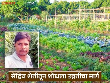 शिवकुमार रहांगडाले यांनी शोधला सेंद्रिय शेतीतून उन्नतीचा मार्ग; लाखोंच्या उत्पन्नाने शेतकऱ्यांसमोर आदर्श - Marathi News | Shivkumar Rahangdale found a way to progress through organic farming; A role model for farmers with an income of lakhs | Latest success-story News at Lokmat.com