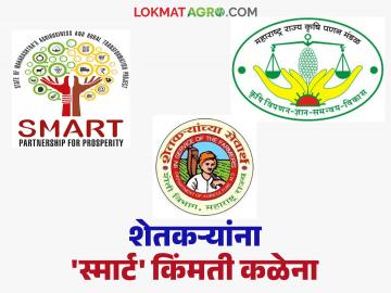 शेतकऱ्यांना 'स्मार्ट' किंमती कळेना; दोन आठवड्यांपासून साप्ताहिक सनियंत्रण अहवाल प्रसिद्ध झालेला नाही! शेतकऱ्यांना 'स्मार्ट' किंमती कळेना; दोन आठवड्यांपासून साप्ताहिक सनियंत्रण अहवाल प्रसिद्ध झालेला नाही!