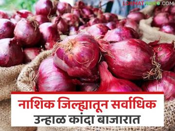 राज्याच्या कोणत्या बाजारात कांदा खातोय भाव? वाचा आजचे कांदा बाजारभाव
